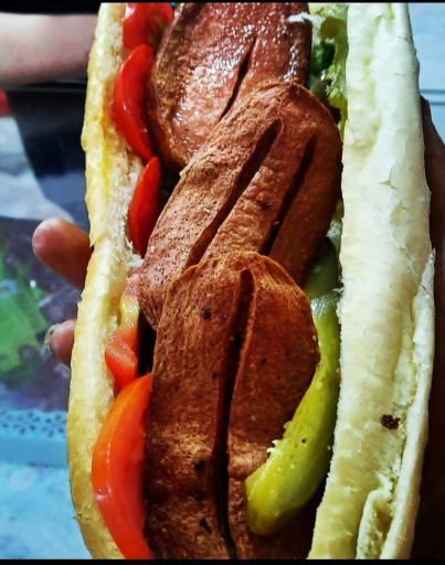 فست فود هانی برگر