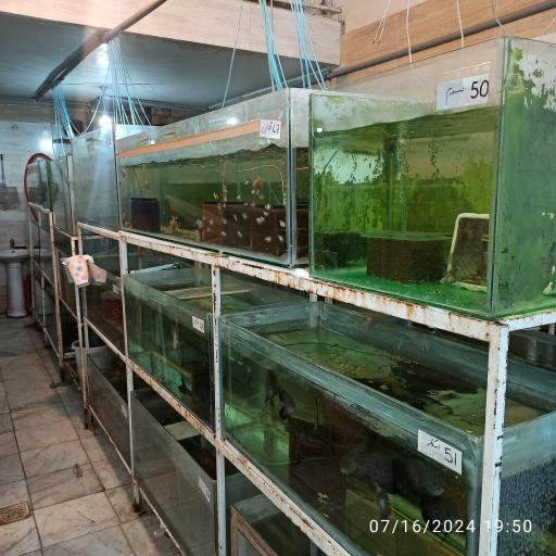 عکس سالن پرورش ماهی امید 