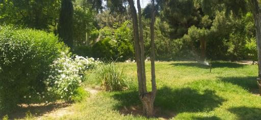 عکس میدان دوم رضوانیه