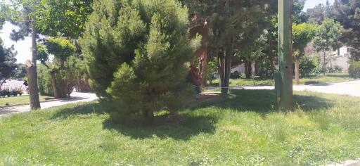 عکس میدان دوم رضوانیه