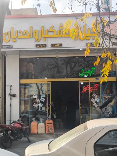 عکس آجیل واحدیان