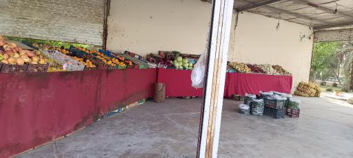 عکس میوه فروشی