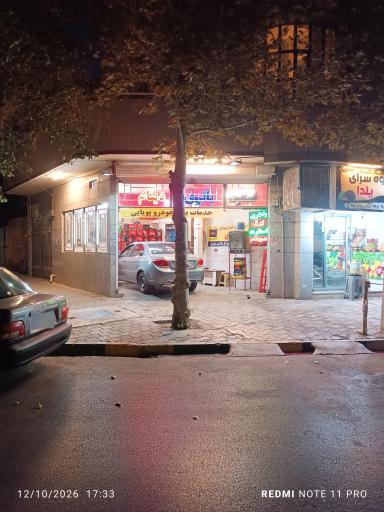 عکس خدمات برق خودرو پویائی