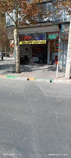 عکس خدمات برق خودرو پویائی