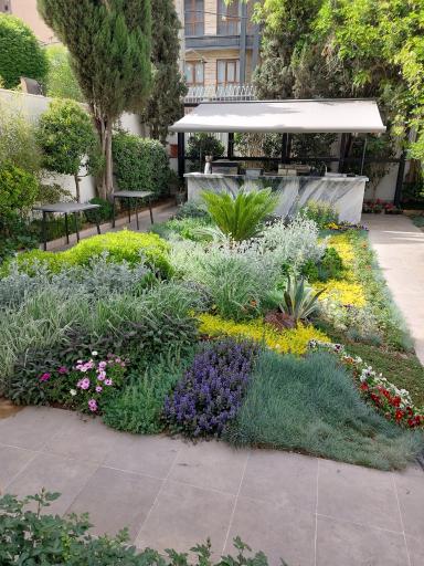 عکس دکتر محمد حسین نجفی (متخصص قلب و عروق و فلوشیپ آنژیوپلاستی)