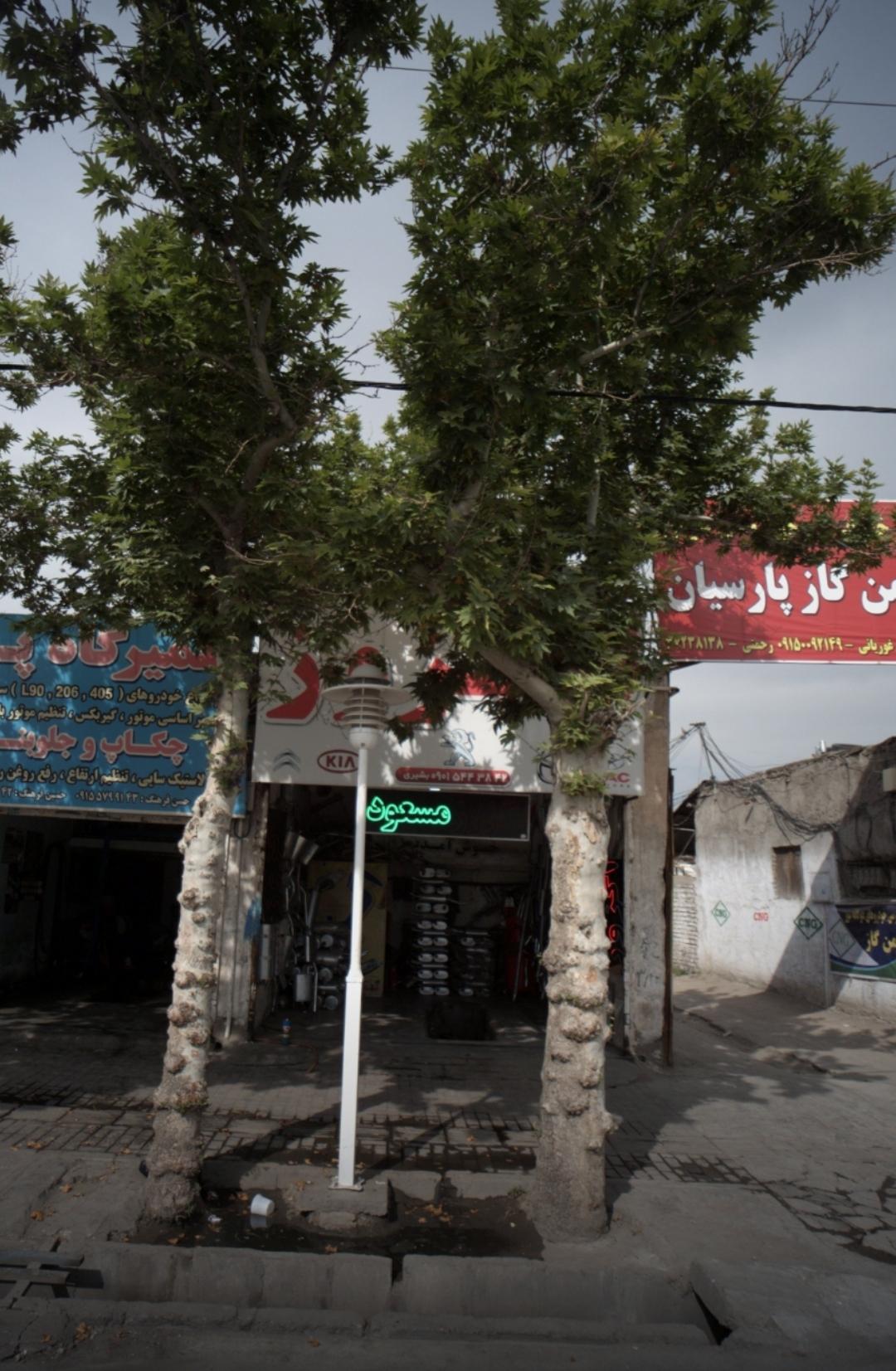 عکس اگزوز مسعود 