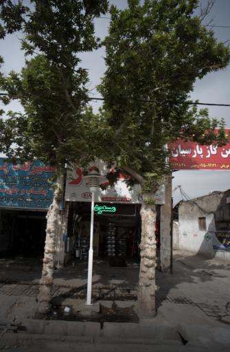 عکس اگزوز مسعود 