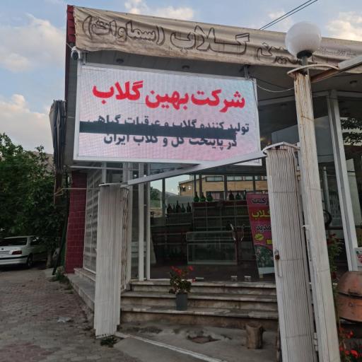 عکس بهین گلاب سماوات