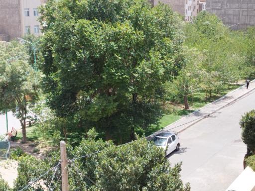 عکس پارک مهدیه