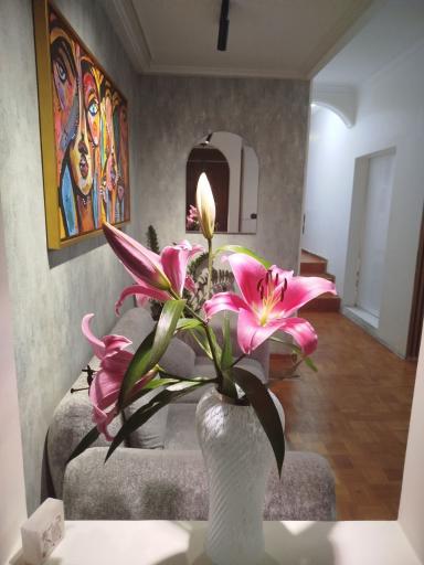 عکس کلینیک لاغری دکتر پریچهر امیری