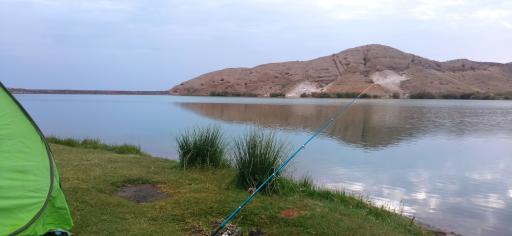 عکس نیشابور