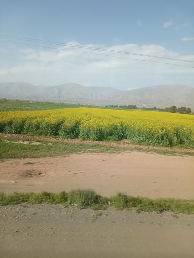 عکس نیشابور