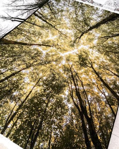 عکس شهرفرش ماندگار