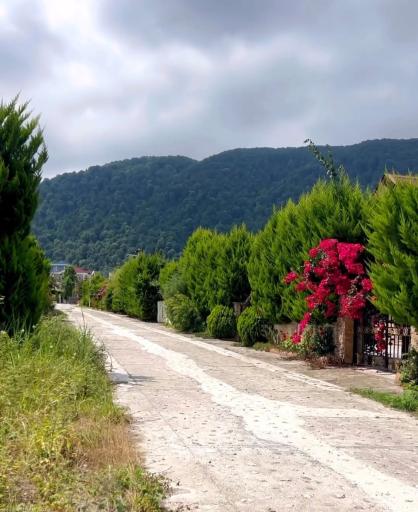 عکس شهرک شقایق 