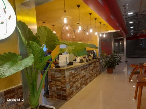 عکس کافه گندم