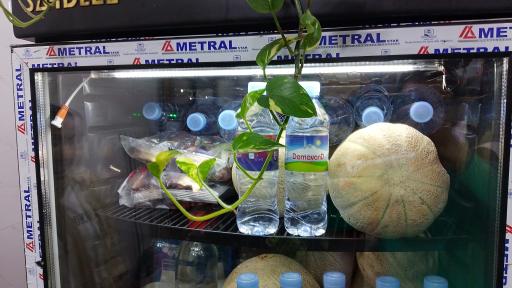 عکس آبمیوه بستنی بونو