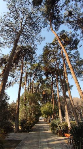 عکس بوستان سردار جنگل