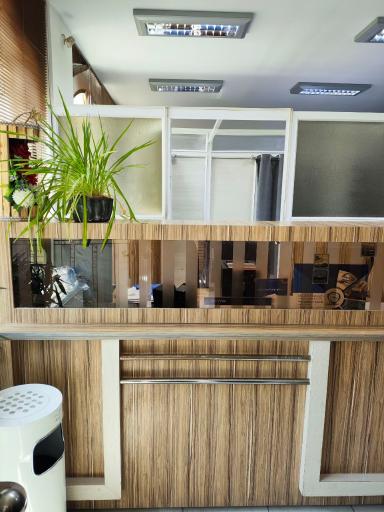 عکس فیزیوتراپی بهبود 