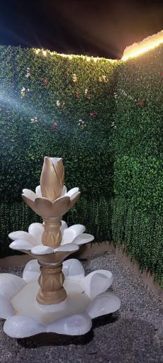 عکس دکتر جگر