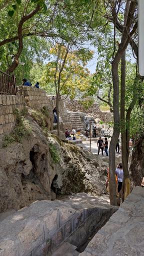 عکس باغ تالار