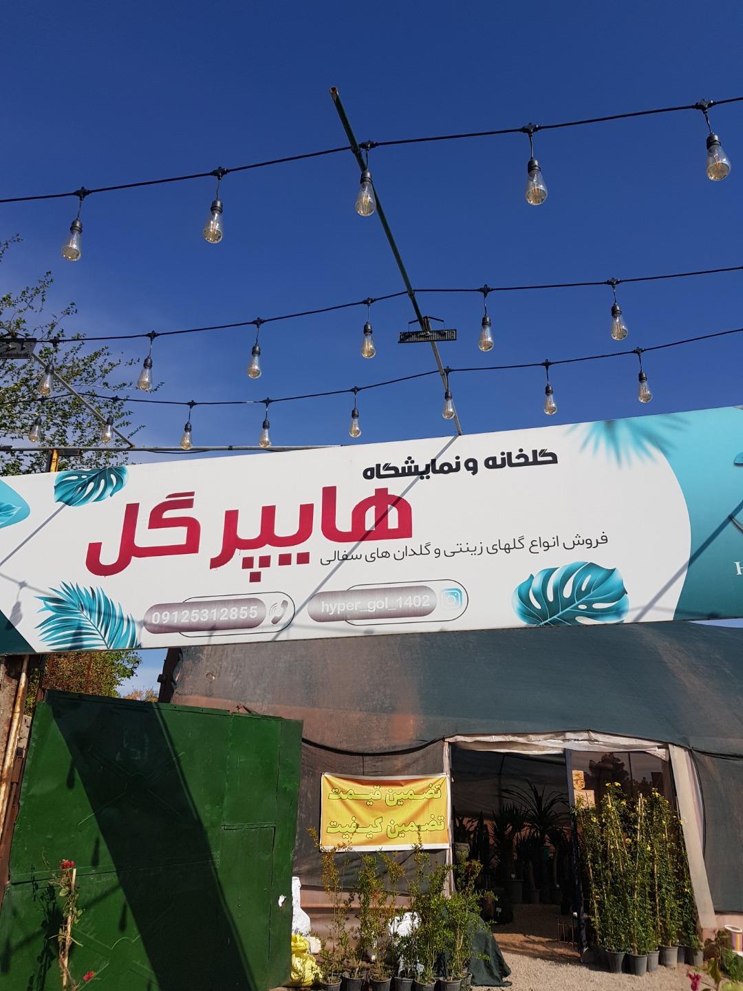 عکس هایپر گل