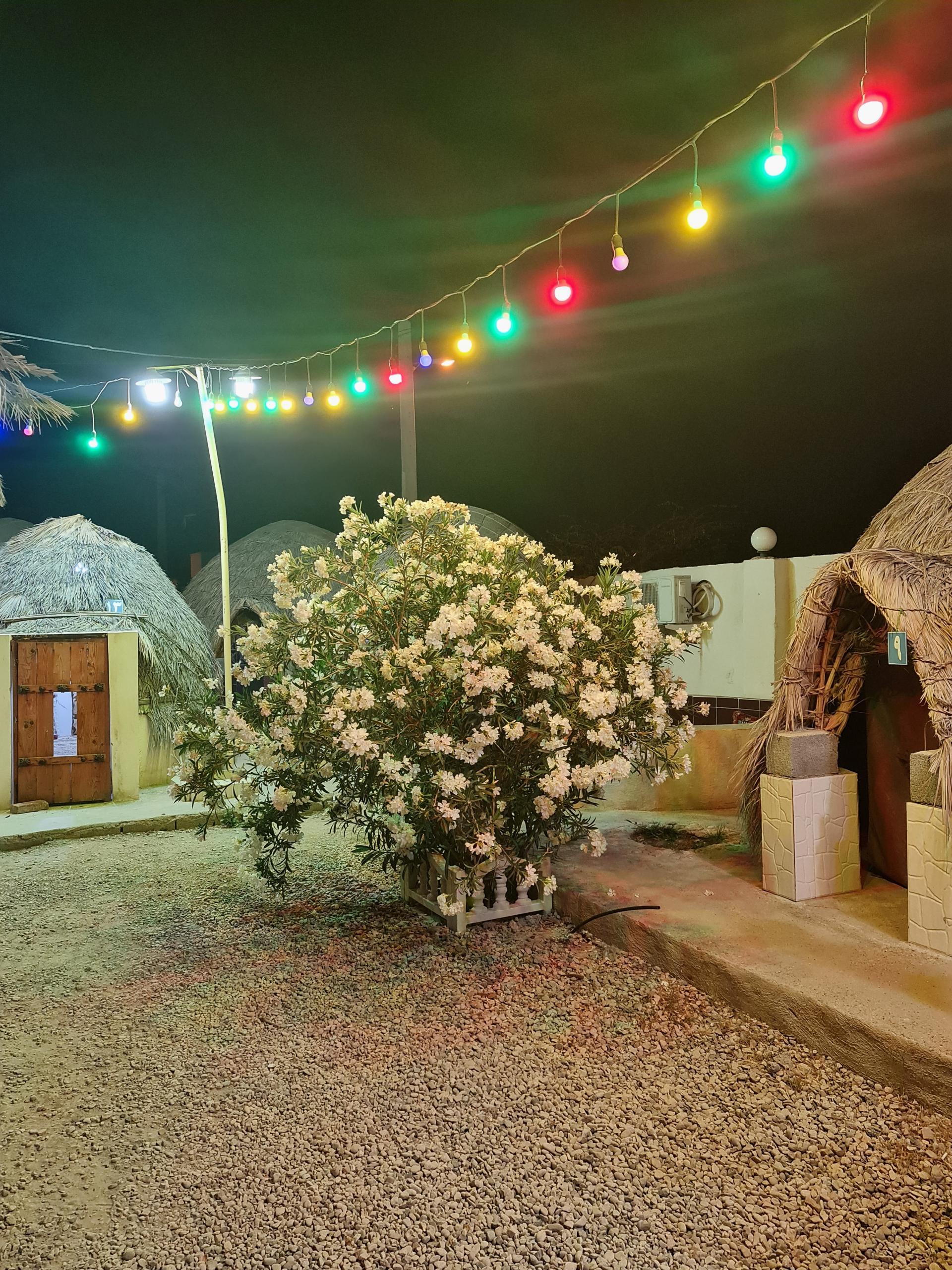 عکس کبابی سنتی شهاب