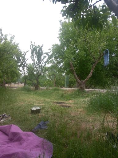 عکس بوستان امیرکبیر