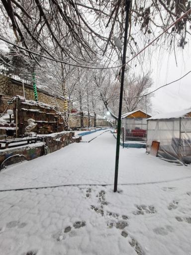 باغ خانوادگی برکه