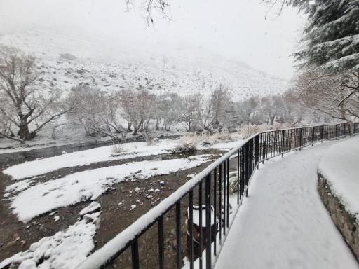 باغ خانوادگی برکه