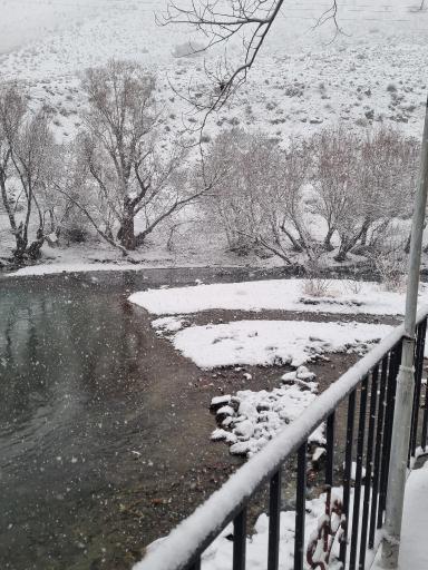 عکس باغ خانوادگی برکه