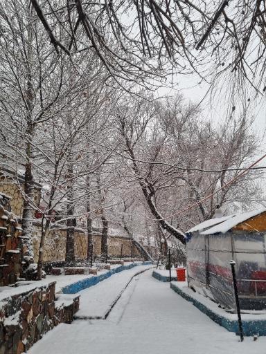 عکس باغ خانوادگی برکه