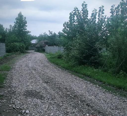 عکس ماشک سپهداری