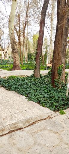 عکس پارک باقوشخانه