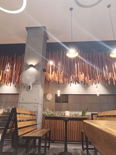 عکس فست فود ویانا