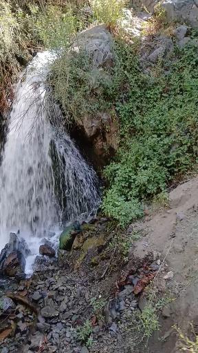 عکس آبشار دو قلو بوژان