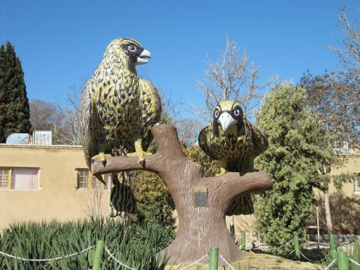 عکس پارک باقوشخانه