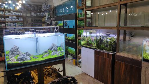 عکس شهر آکواریوم