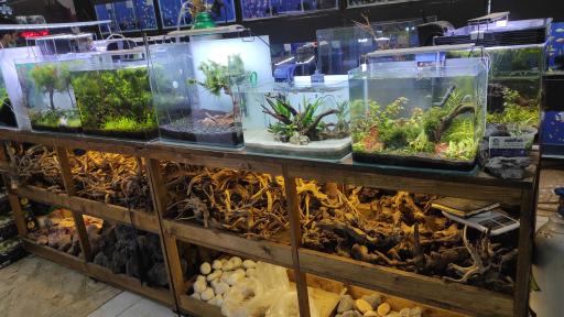 عکس شهر آکواریوم