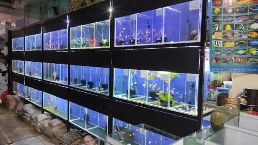 عکس شهر آکواریوم