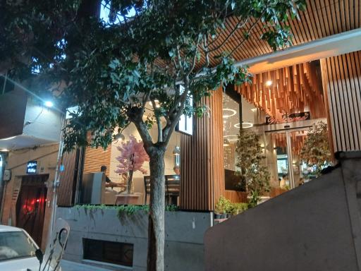 عکس فست فود ویانا