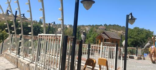 عکس باغ تمشک