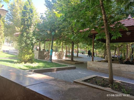 عکس باغ تمشک