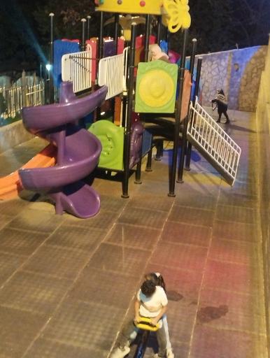 عکس باغ تمشک