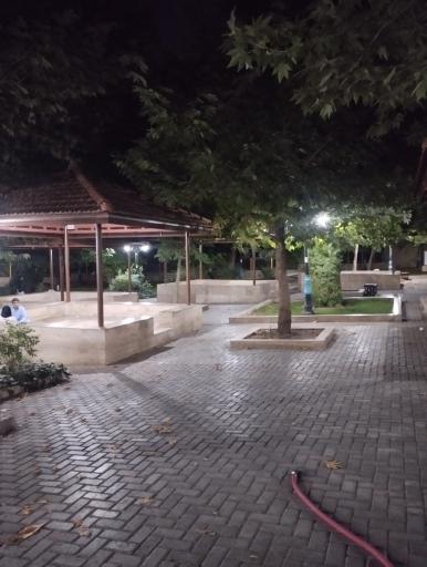 عکس باغ تمشک