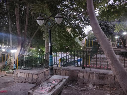 عکس باغ تمشک