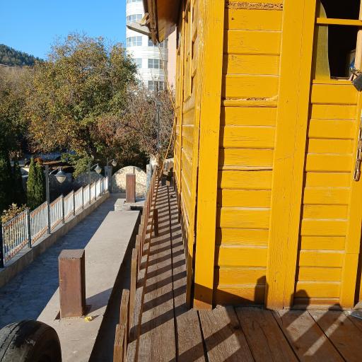 عکس باغ تمشک