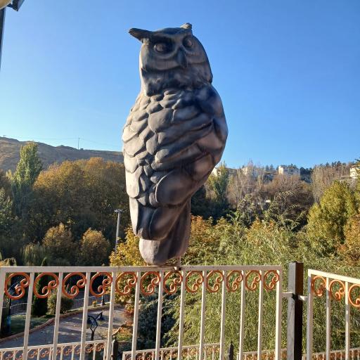 عکس باغ تمشک