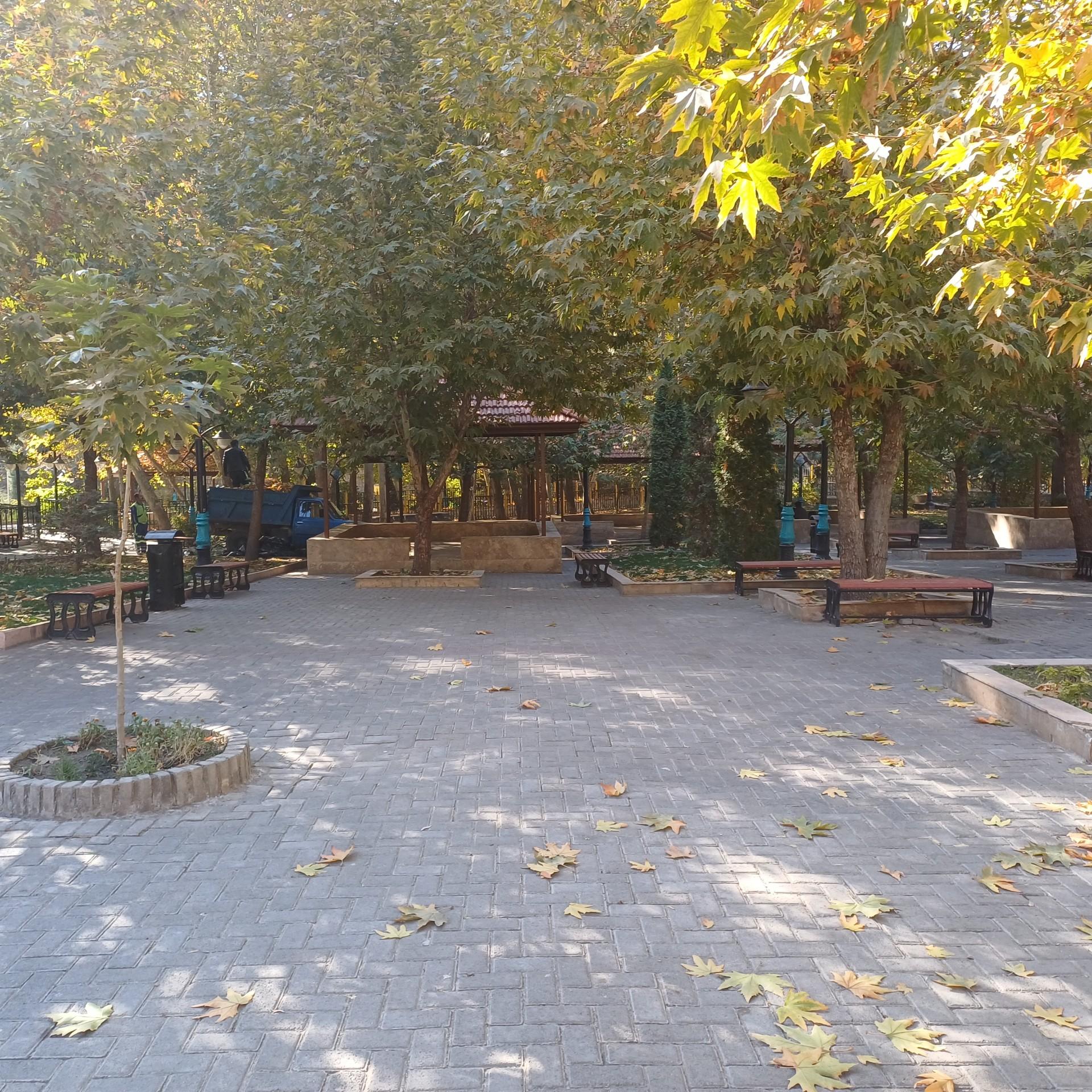 عکس باغ تمشک