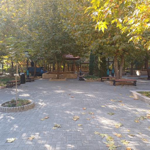 عکس باغ تمشک