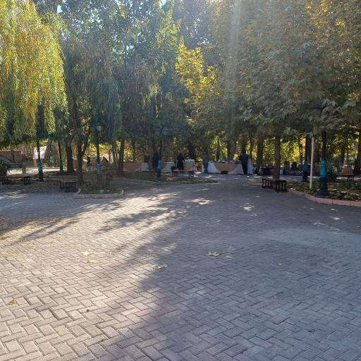 عکس باغ تمشک